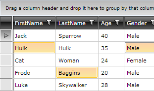 Telerik WPF DataGrid BasicSelection 2