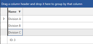 Telerik WPF DataGrid-row-details-template-basic