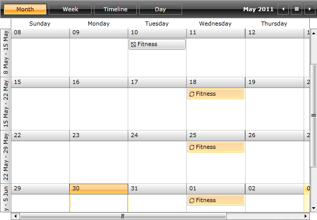 WPF RadScheduleView Recurrence Rule