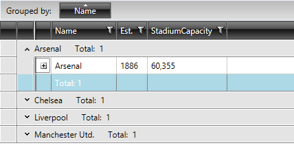 Telerik WPF DataGrid-groupfooterrow-styled