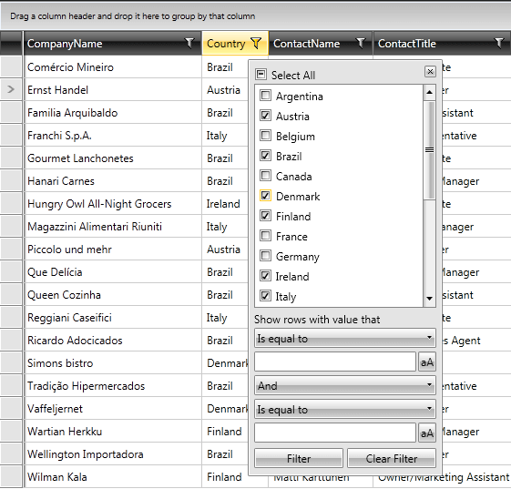 Telerik WPF DataGrid filtering basic 01