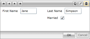 RadDataForm with custom EditTemplate