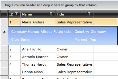 Telerik WPF DataGrid RowDetails 6