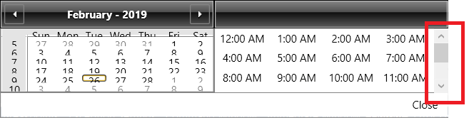 WPF RadDateTimePicker Show ScrollViewer for the Time Display Items