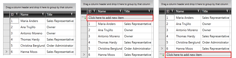 Telerik WPF DataGrid addingnewrows 03