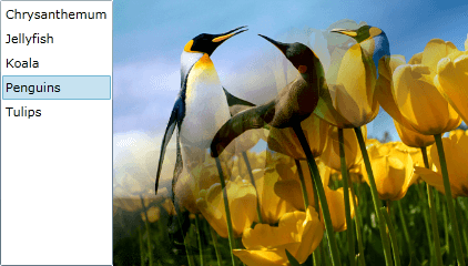 WPF RadTransitionControl Linear Fade Transition