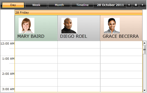 WPF RadScheduleView Group Header Content Template