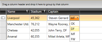 Creating Custom Column Editor in RadGridView - Telerik's WPF DataGrid