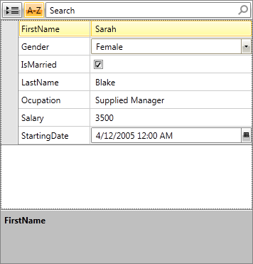 RadPropertyGrid bound to a single item