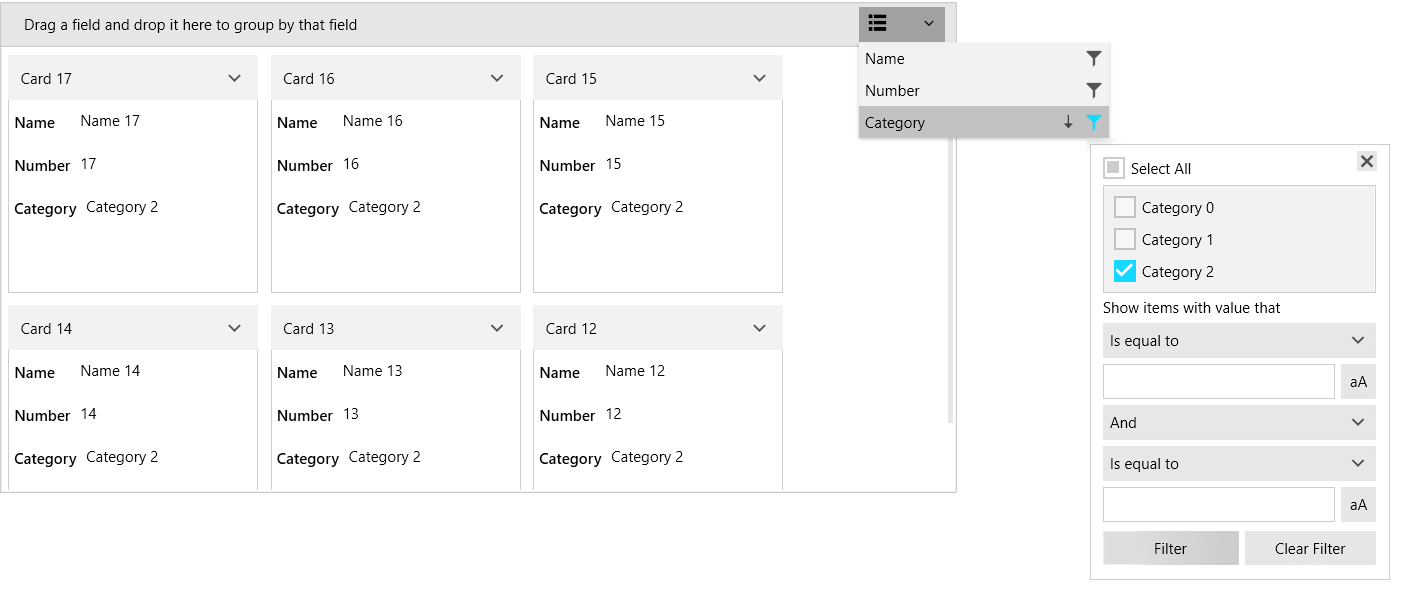 WPF RadCardView RadCardView filtering control