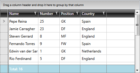 Telerik WPF DataGrid-footerrow-style