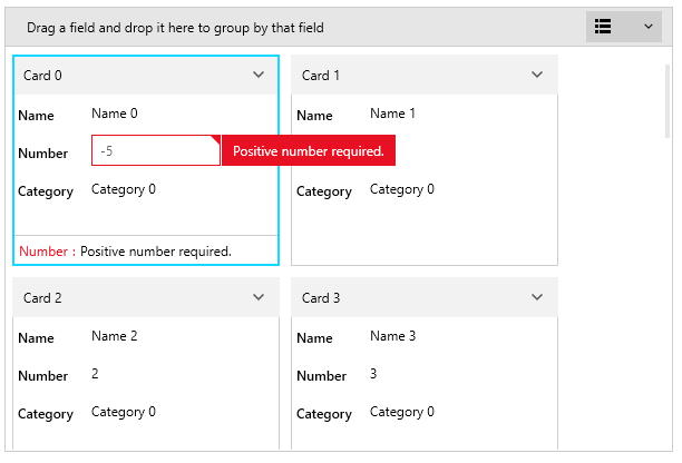 WPF RadCardView Data validation visual feedback