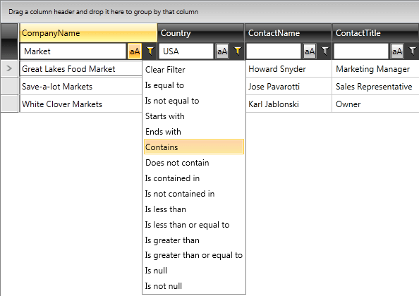 Telerik WPF DataGrid filtering basic 02