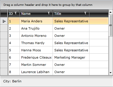 Telerik WPF DataGrid RowDetails 5
