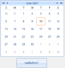 The Telerik WinForms controls in the designer