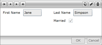 RadDataForm with customized fields
