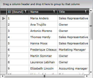 Telerik WPF DataGrid Bound Unbound Columns 1