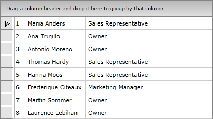 Telerik WPF DataGrid Column Headers 3