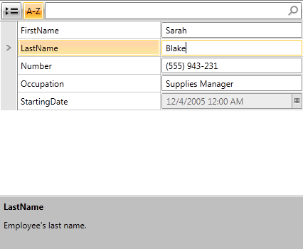 RadPropertyGrid with data annotations sorted alphabetically