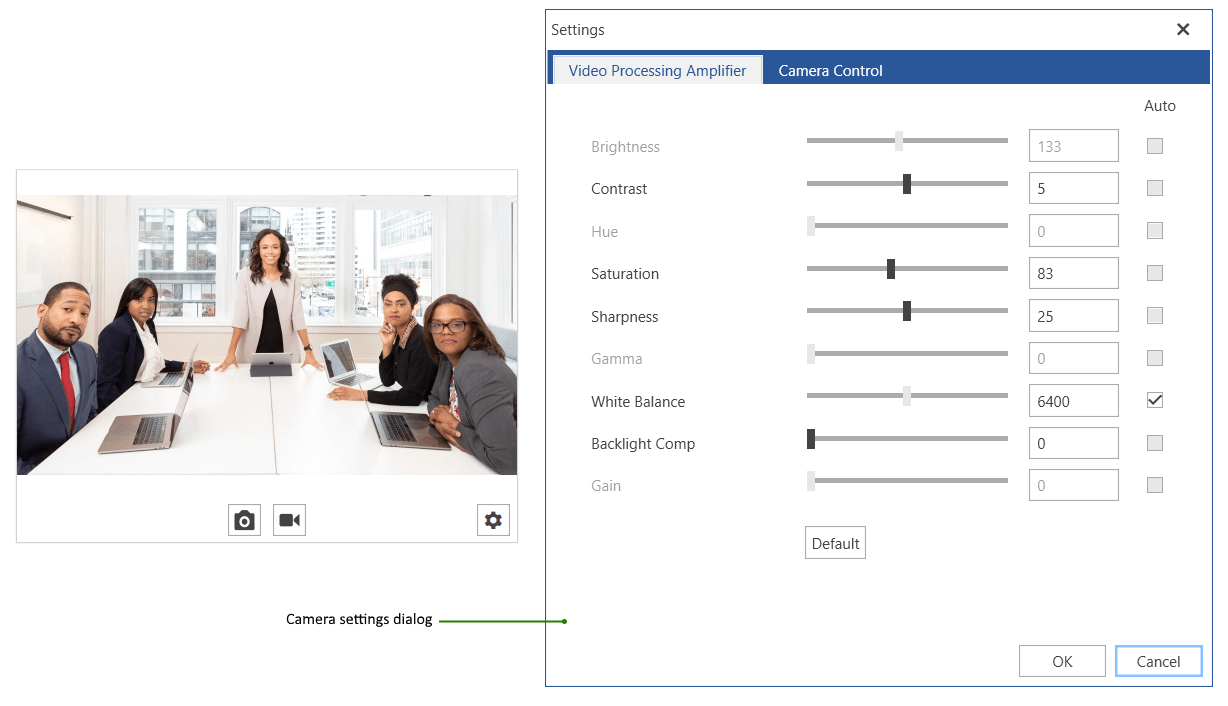 WPF RadWebCam Settings Dialog Visual Structure