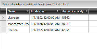 Telerik WPF DataGrid-getting-started2 5