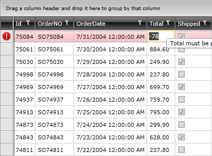 Telerik WPF DataGrid Validation 040