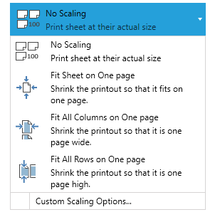 Scaling options in RadSpreadsheet