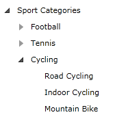 WPF RadTreeView Sample Declaration