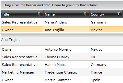 Telerik WPF DataGrid Controlling Appearance 2