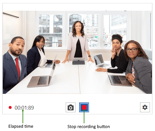 WPF RadWebCam Recording State Visual Structure