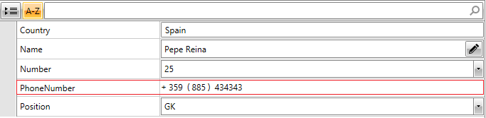 Rad Property Grid Custom Editor