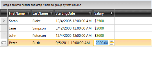 Telerik WPF DataGrid Cell Template Cell Edit Template