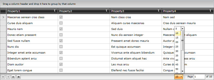 RadDataPager with dynamic PageSize