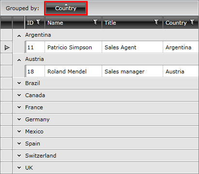 Telerik WPF DataGrid Functional Overview Grouping 1