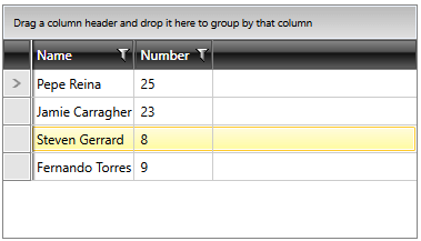 Telerik WPF DataGrid ObservableCollection ItemsSource