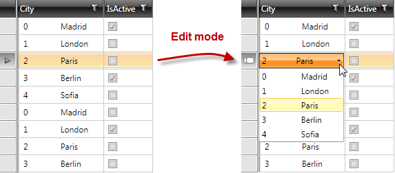 MultiColumnComboBox Column in RadGridView - Telerik's WPF DataGrid