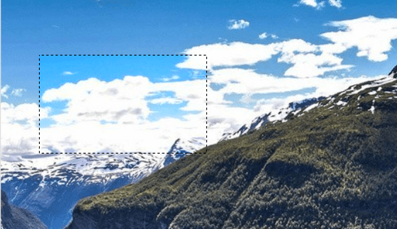 WPF RadImageEditor Selection tool selection area