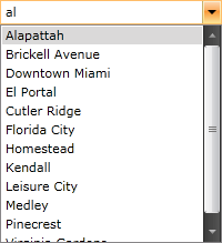 WPF RadComboBox Items Not Filtered