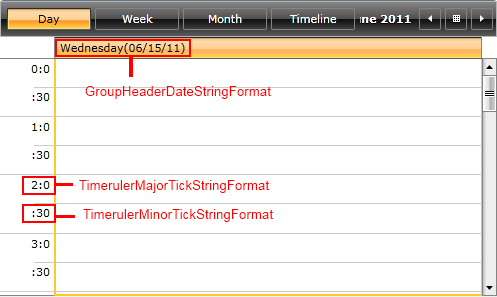 DayViewDefinition Formatting Properties
