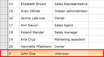 Telerik WPF DataGrid Adding New Items 2