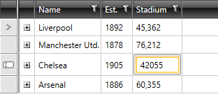 Telerik WPF DataGrid-styled-editor-presenter