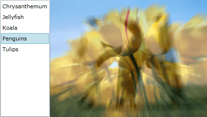 WPF RadTransitionControl Motion Blurred Zoom Transition