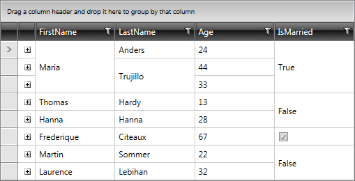 Telerik WPF DataGrid merged cells 4
