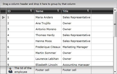 Telerik WPF DataGrid Column Footers 2