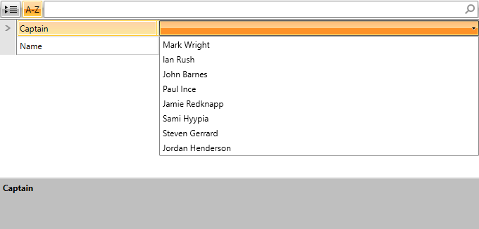 WPF RadPropertyGrid TypeConverter providing a default set of values
