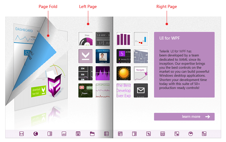 RadBook Visual structure