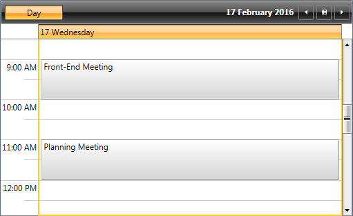 WPF RadScheduleView RadScheduleView bound to a collection of Appointments