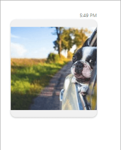 Defining ImageMessage