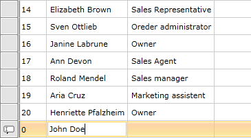 DataGrid Adding New Items 1