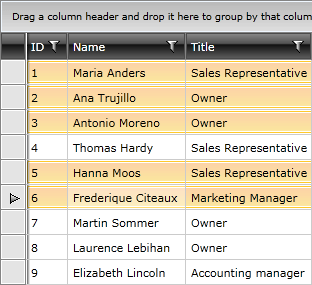 Telerik WPF DataGrid cell selection